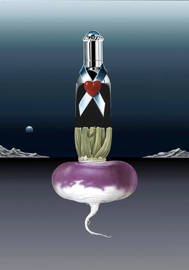 Original Conceptual Nature Collage by Panos Pliassas