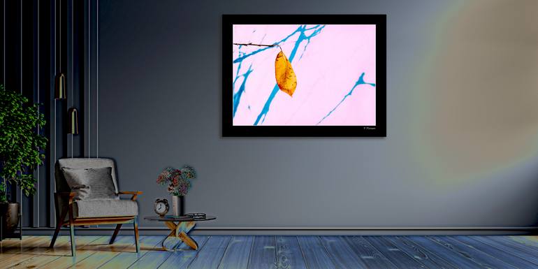 Original Conceptual Nature Digital by Panos Pliassas