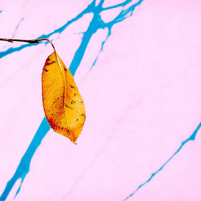 Original Conceptual Nature Digital by Panos Pliassas