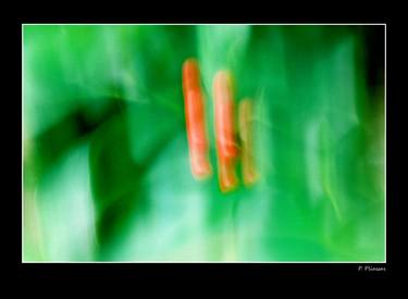 Original Abstract Expressionism Nature Digital by Panos Pliassas