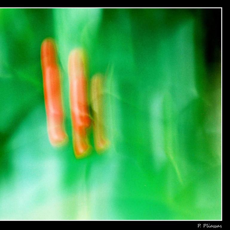 Original Abstract Expressionism Nature Photography by Panos Pliassas