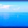 view additional image 1