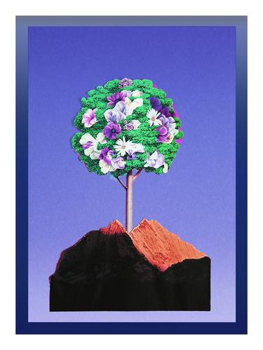 Print of Nature Collage by Panos Pliassas