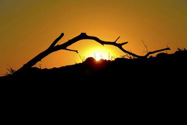 Print of Minimalism Nature Photography by Panos Pliassas