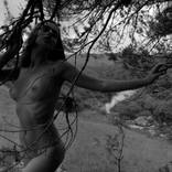 The Intimacy of the Tree by Marcus Luconi