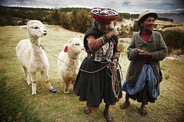 Women And Alpacas In The Sacred Valley, Peru - limited edition 1 of 1 thumb