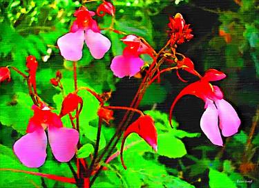 Impatient About Impatiens (Limited Edition 1 of 50) thumb