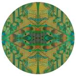 Reflections (green) by Caio Locke