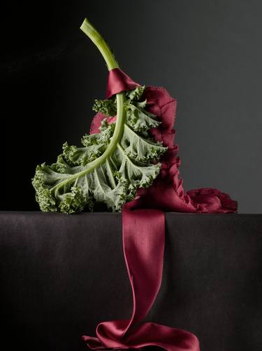 Original Conceptual Still Life Photography by patrice d'Hotman de Villiers