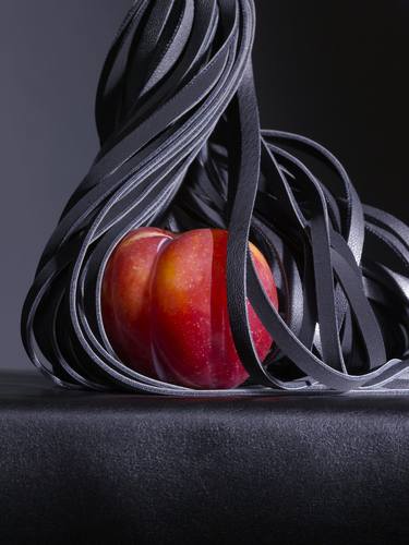 Original Conceptual Still Life Photography by patrice d'Hotman de Villiers