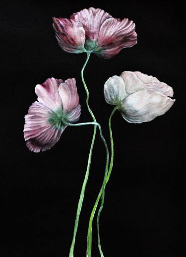 Original Photorealism Botanic Paintings by Katryn Bowe