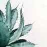Agave - elegant, sharp, poised, and dangerous. 

Original watercolor painted during a 9 hour work session. Mellow green-blue would complement a wide range of interior decor and frame style.