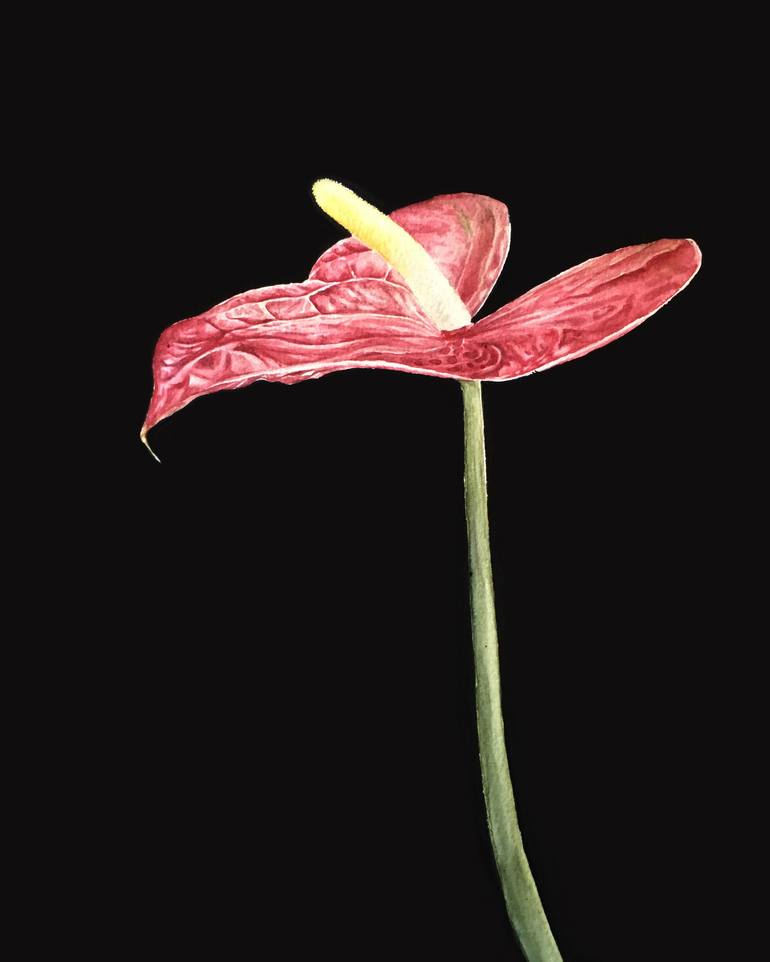 Anthurium Painting by Katryn Bowe | Saatchi Art