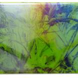 Jungle sparks by Jessica Rimondi