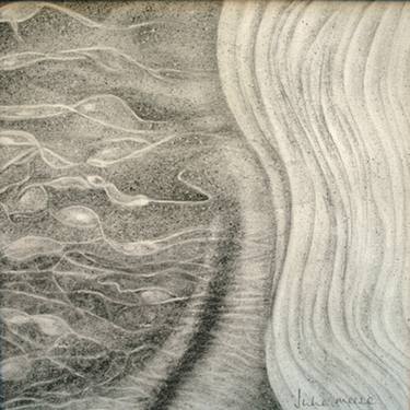 Original Abstract Nature Drawings by Julie Meese