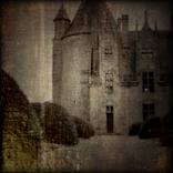 Fragile Dreams by Jurga Luca
