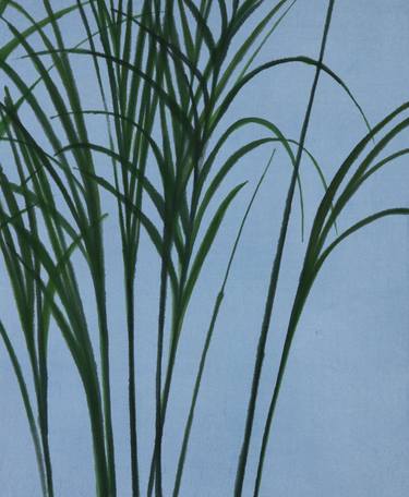 Original Botanic Paintings by Choin Lim