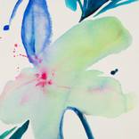 A lily by Choin Lim