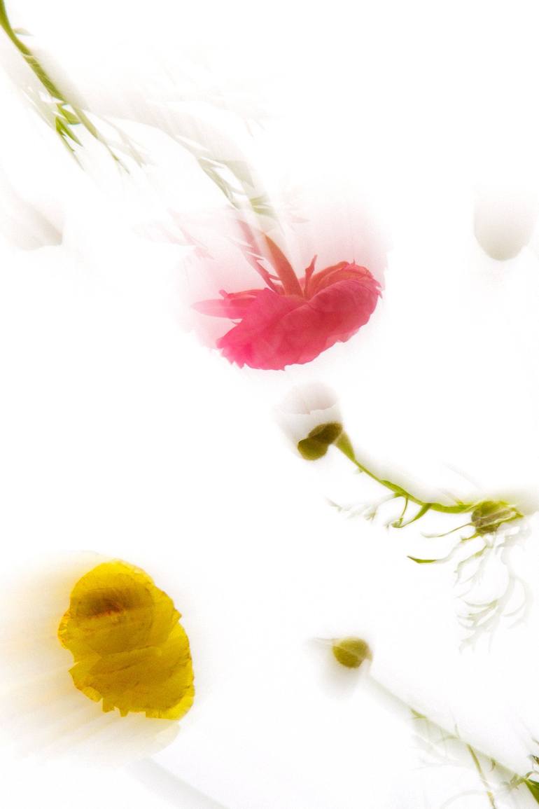 Original Abstract Botanic Photography by Vera Petkova