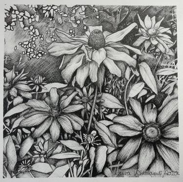 Original Abstract Garden Drawings by Laura Williams