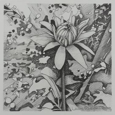 Original Floral Drawing by Laura Williams