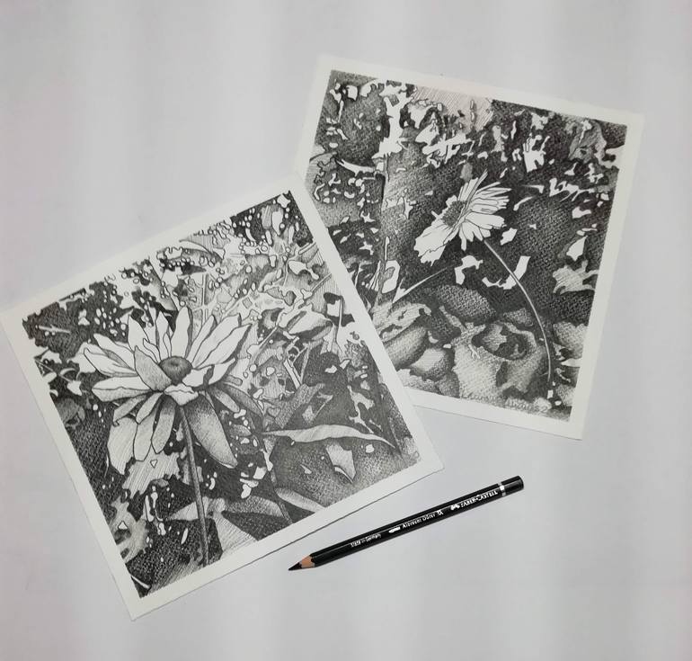 Original Floral Drawing by Laura Williams