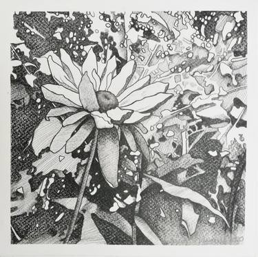 Original Abstract Floral Drawings by Laura Williams