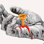 The Right Hand by Tidorescu Lucian