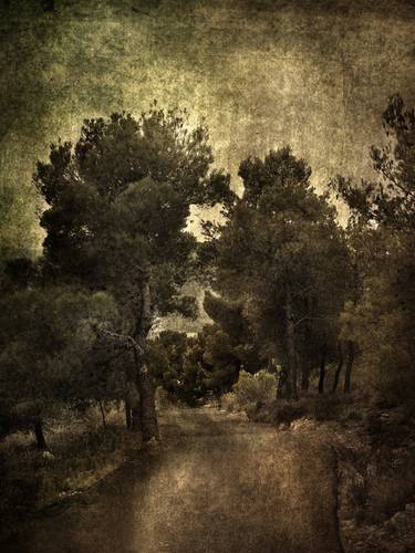 Original Landscape Photography by Mercedes Fittipaldi