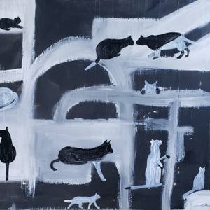 Collection Cats