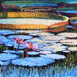 Golden Light onLilies by John Lautermilch