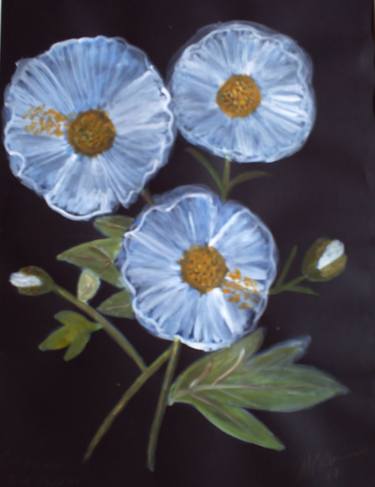 Original Floral Paintings by Myrna Robinson