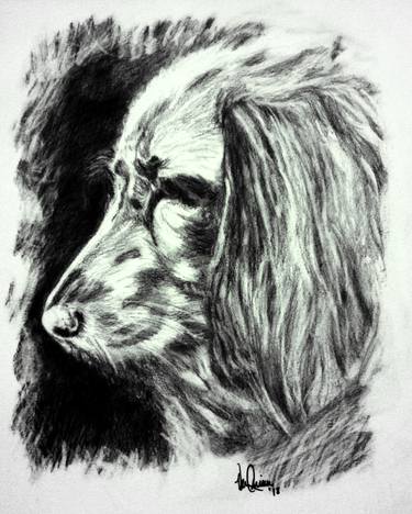 Print of Realism Dogs Drawings by Vernon Crumrine
