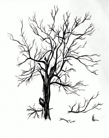 Original Conceptual Nature Drawings by Vernon Crumrine