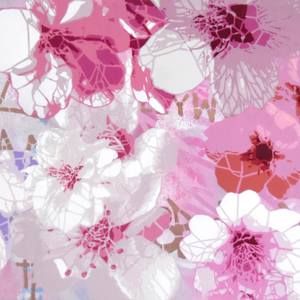 Sakura Hanami - Flake