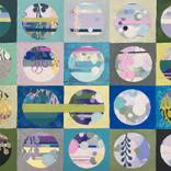 The Spotting Scope by Kathy Ferguson