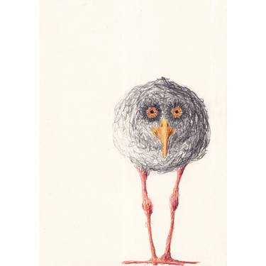 Original Contemporary Animal Drawings by Hans Van Meeuwen