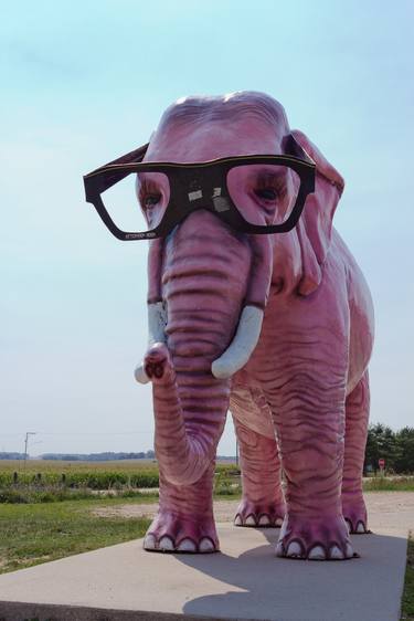 Pink Elephant With Glasses thumb