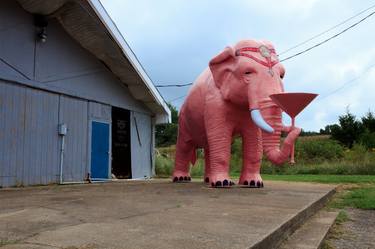 Pink Elephant With Martini Glass thumb