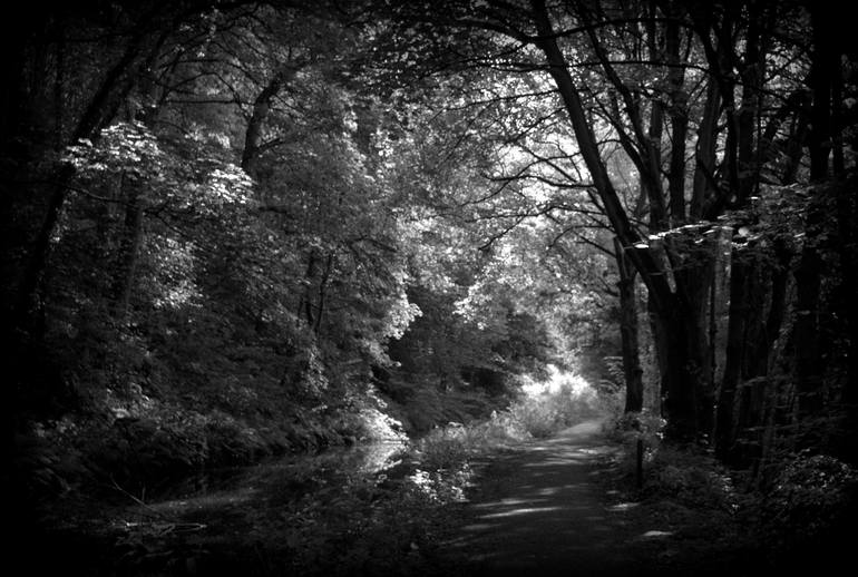 Whisper Photography by Rebecca Unwin Saatchi Art