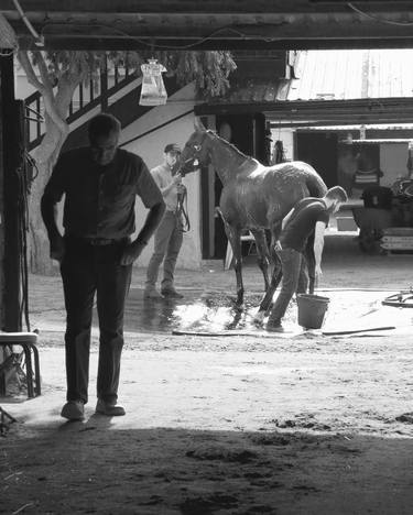Original Street Art Horse Photography by Dana Levine