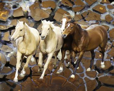 Original Figurative Horse Photography by Dana Levine