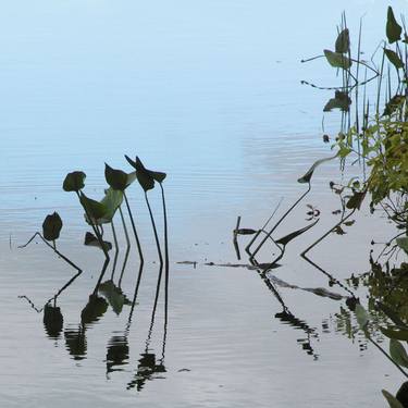 Original Abstract Water Photography by Dana Levine