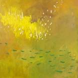 Stumbling by Jamie Ribisi-Braley