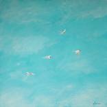 Terns With Blue Sky by Barry Johnson