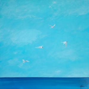 Terns With Blue Sky