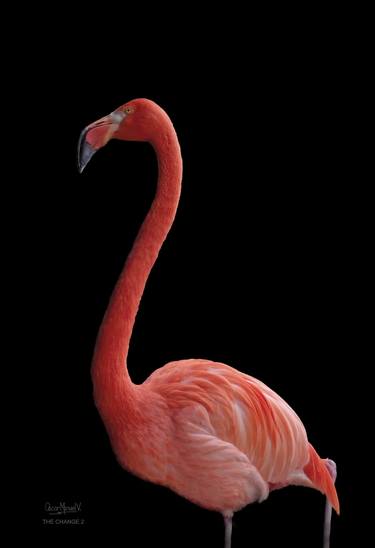 Saatchi Art Artist Oscar Manuel Vargas; Photography, “THE CHANGE 2. 19 X 13 inch, Print - Limited Edition of 30” #art