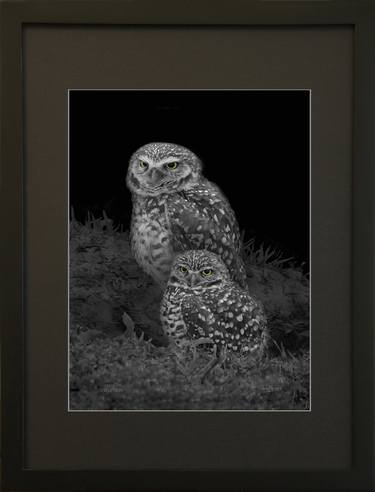 INTUITION. Framed Print 9 x 12 inch. Limited Edition 1 of 30. thumb