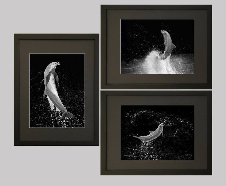 Original Black & White Nature Photography by Oscar Manuel Vargas