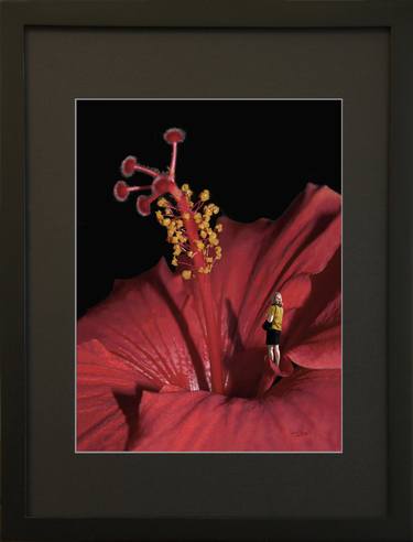 PERSISTENCE. 9 x 12 framed Photo. - Limited Edition of 1-30 thumb